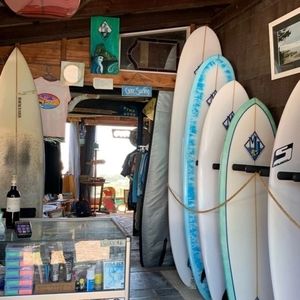 Meet your Posher, Charli